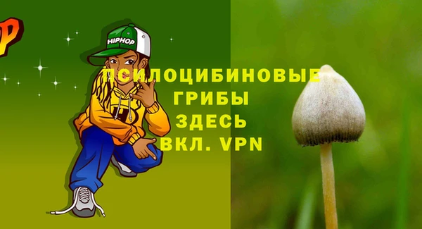 apvp Бронницы