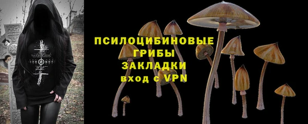 apvp Бронницы