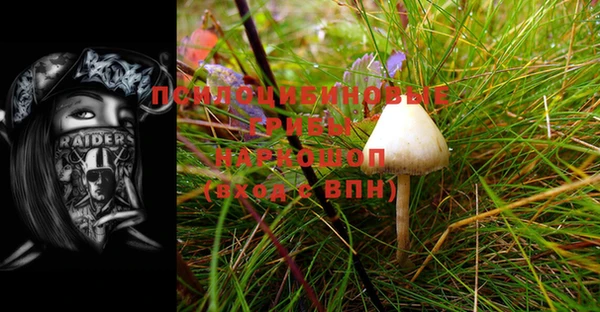 таблы Верхний Тагил